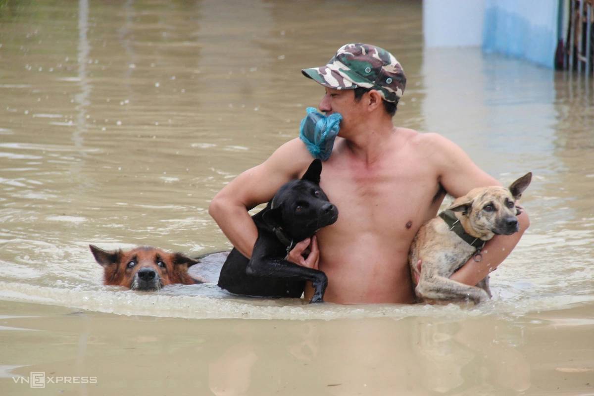 Lũ dâng đến bụng, người đàn ông ở Nha Trang vẫn ôm 3 chú chó không rời: Khoảnh khắc gây bão MXH- Ảnh 1.