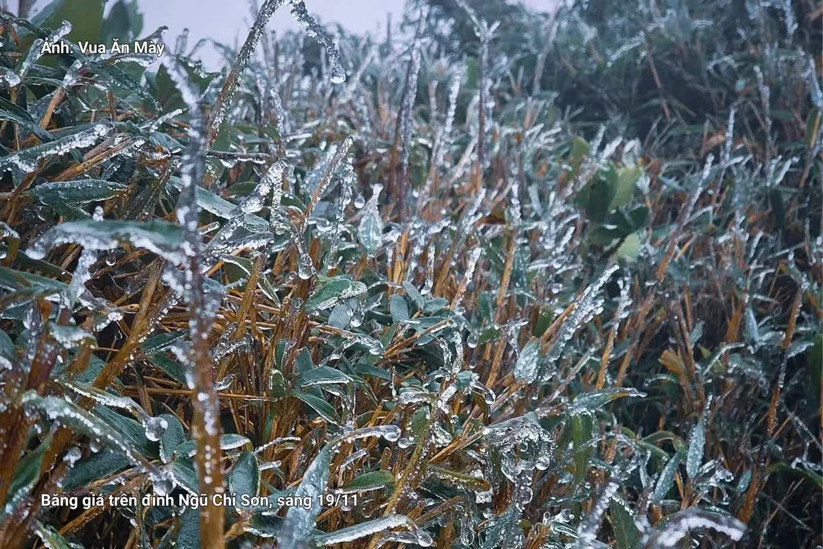 Miền Bắc đã xuất hiện băng giá sớm: Không phải ở Fansipan, đây cũng là điểm du lịch nổi tiếng Việt Nam- Ảnh 1.