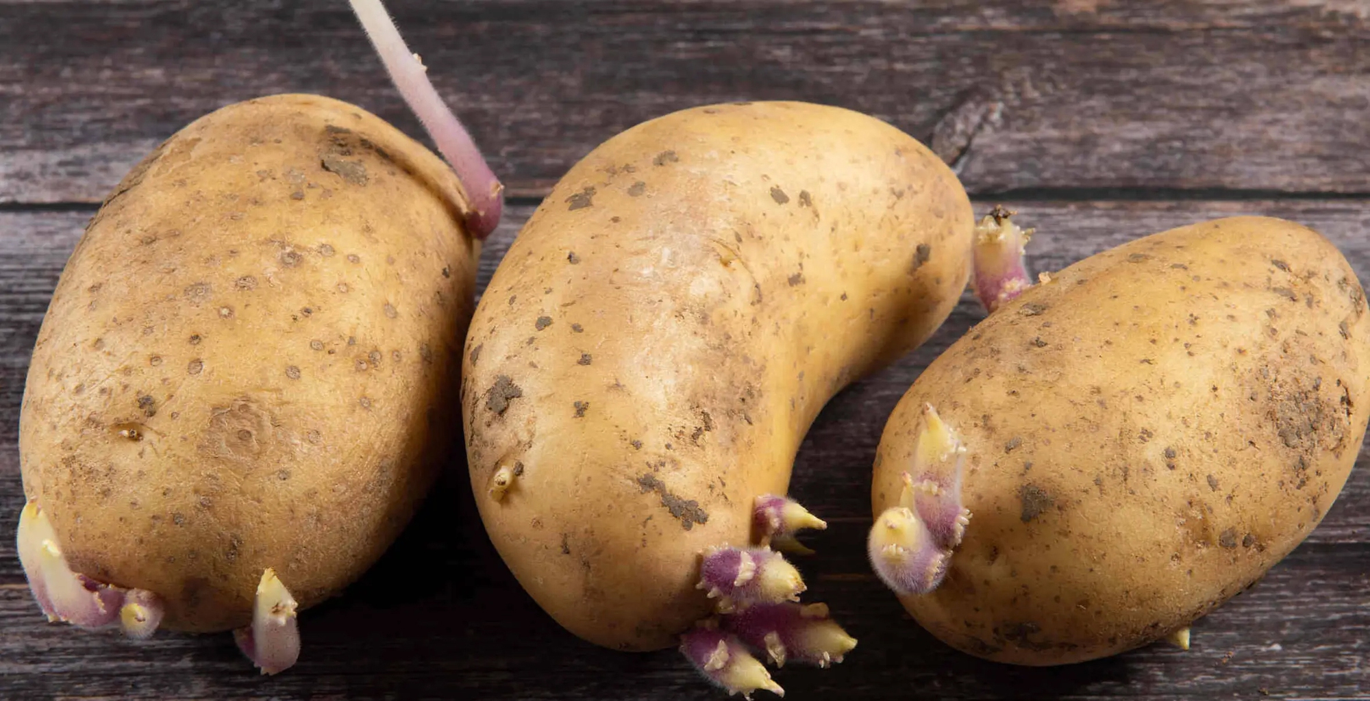 Sai lầm ai cũng mắc: Không phải thức ăn thừa mà 5 loại thực phẩm này mới là 