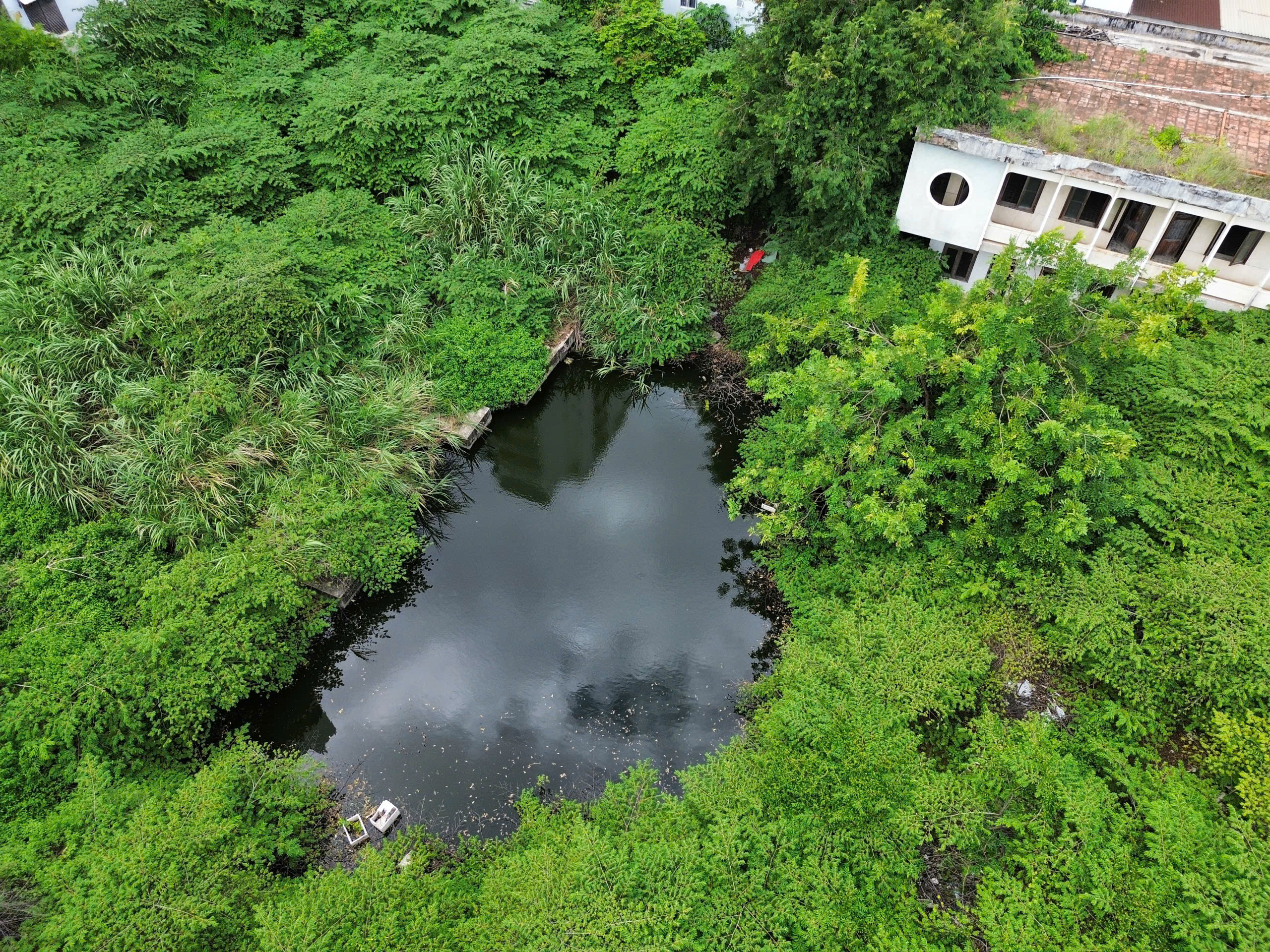 Khu 'đất vàng' bỏ hoang rộng 3.600 m² ven biển Nha Trang sắp được đấu giá- Ảnh 1.