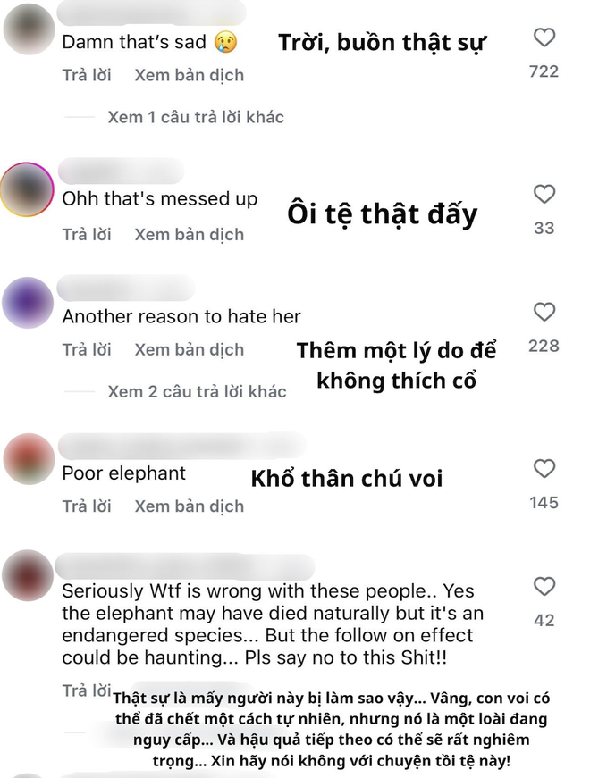 Kim Kardashian hứng chịu bão phẫn nộ vì cầm túi Hermès da voi- Ảnh 5.