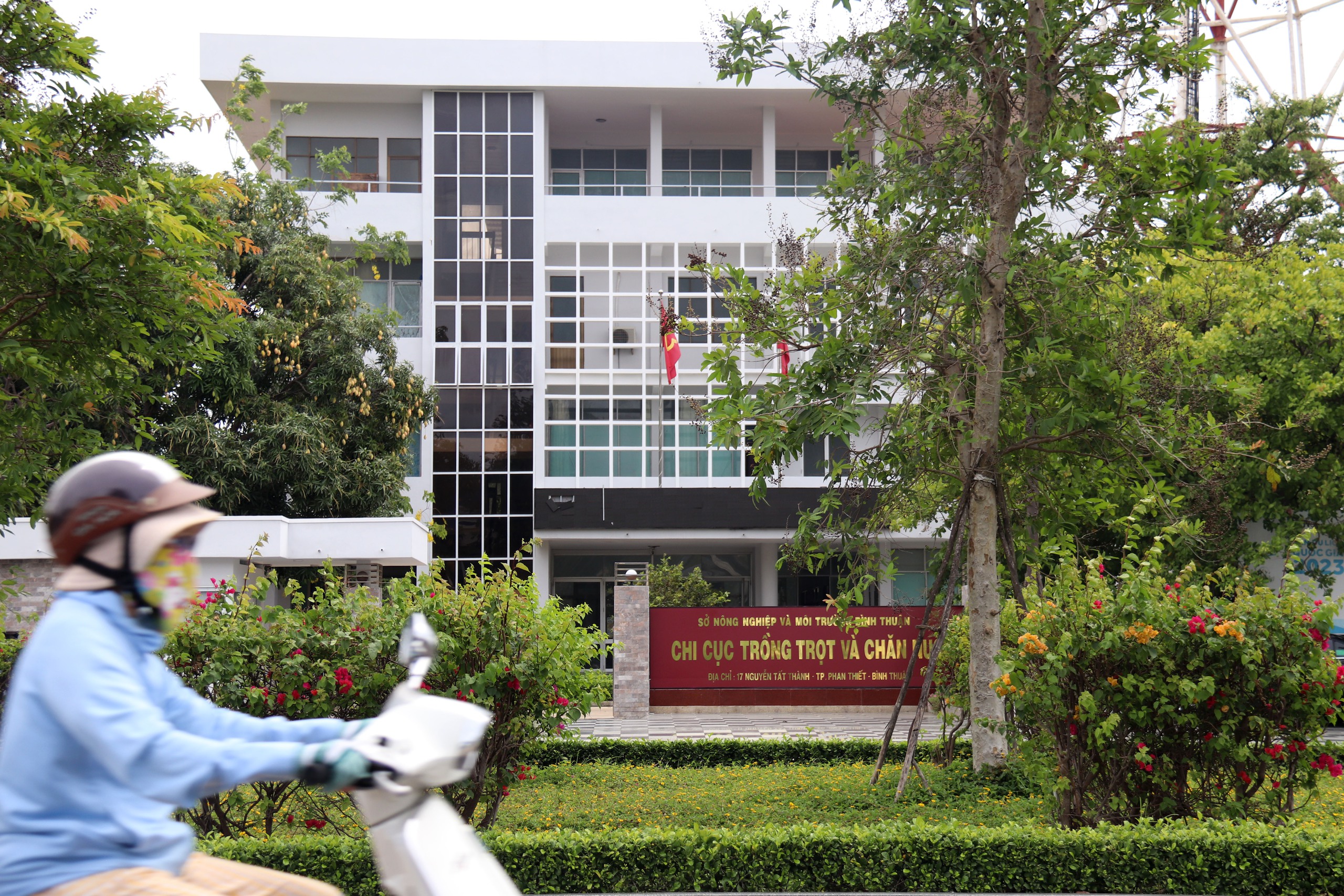 Lâm Đồng sáp nhập các ban quản lý dự án, các trường cao đẳng và trung tâm - Ảnh 1.