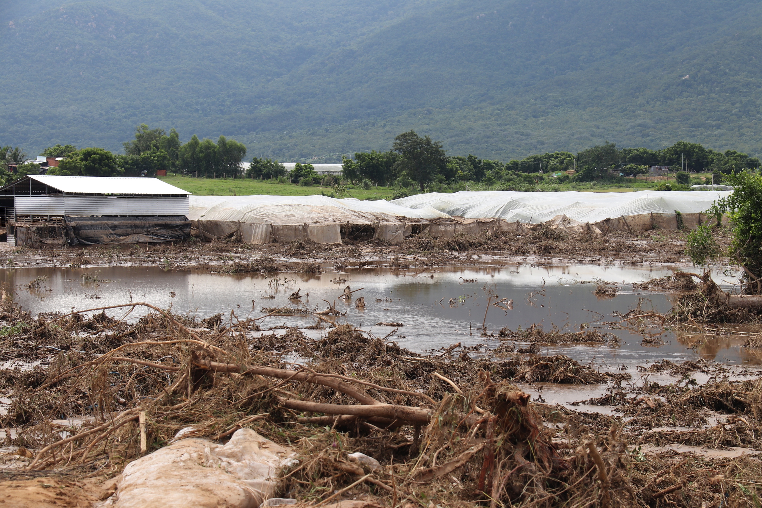 Vỡ hồ chứa nước trên núi Tân Lai: Lâm Đồng xử lý dứt điểm công trình trái phép - Ảnh 2.