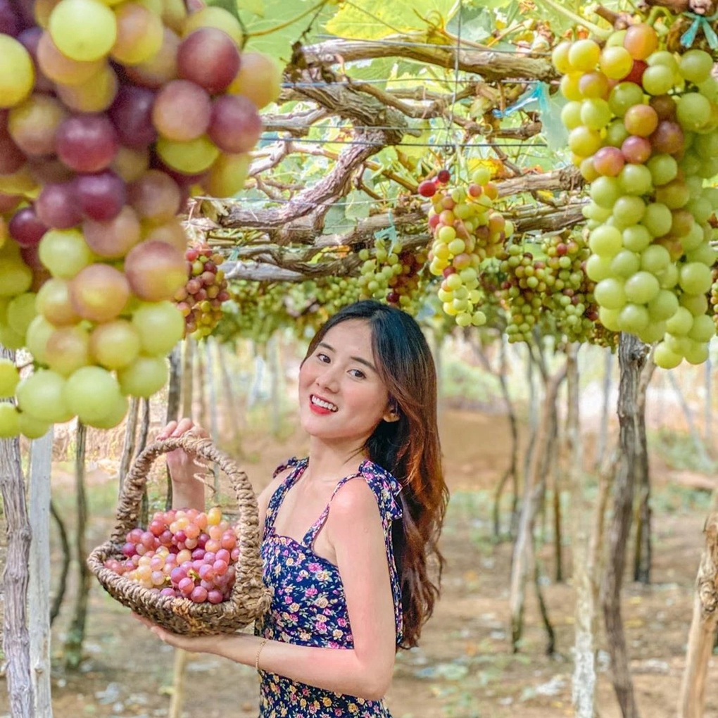 Làm giàu từ du lịch nông nghiệp tại Khánh Hoà - 1