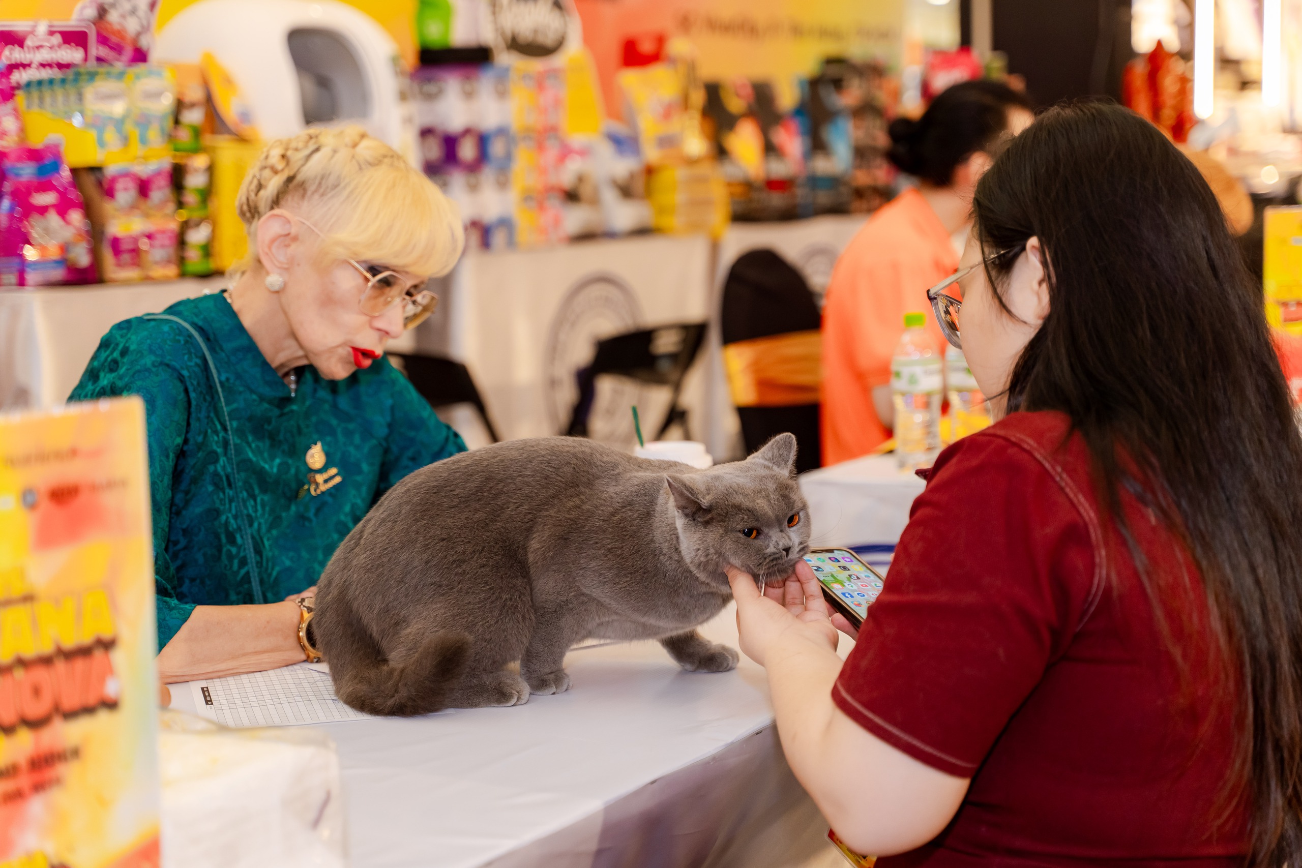 VIDEO: Lần đầu cặp đôi mèo 