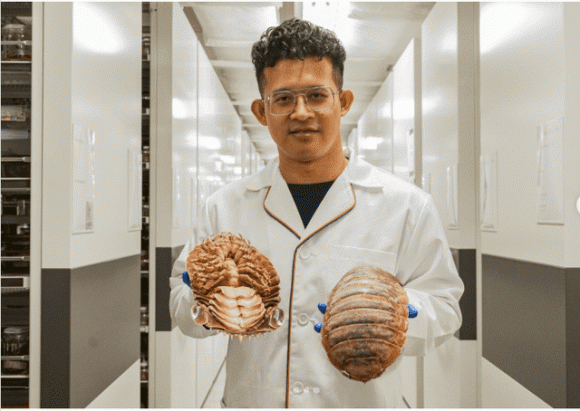 Lần đầu tiên tìm thấy loài vật hiếm chỉ có ở Việt Nam: Kích thước lớn nhất thế giới, nguồn gốc tiến hóa bí ẩn 1 Loài vật quý hiếm tại việt nam, bọ biển