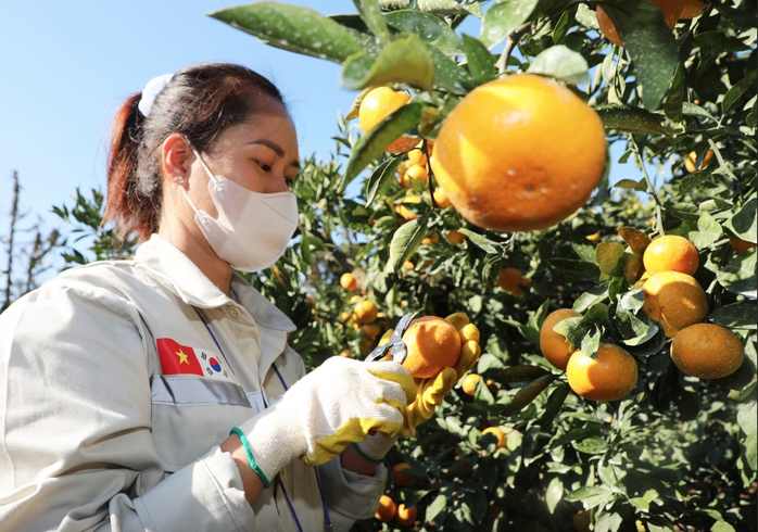 Lao động EPS cần chuẩn bị gì trước khi sang Hàn Quốc làm việc - Ảnh 1.