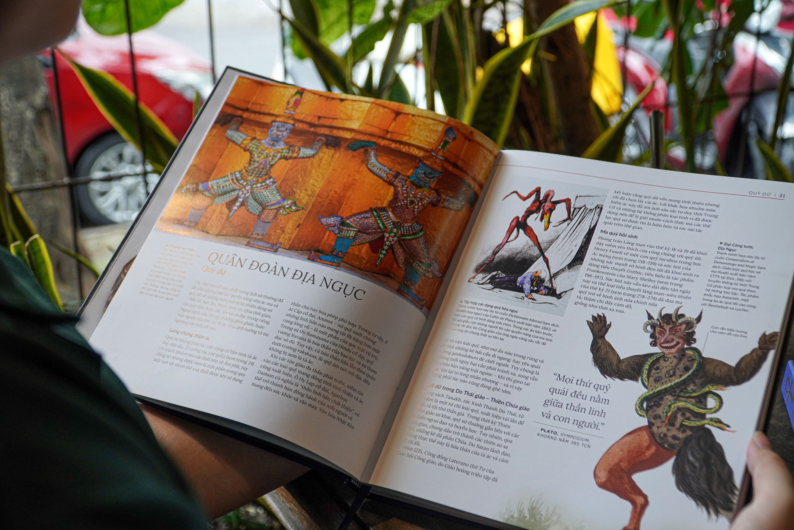 - Ảnh 1. - Ảnh 1.