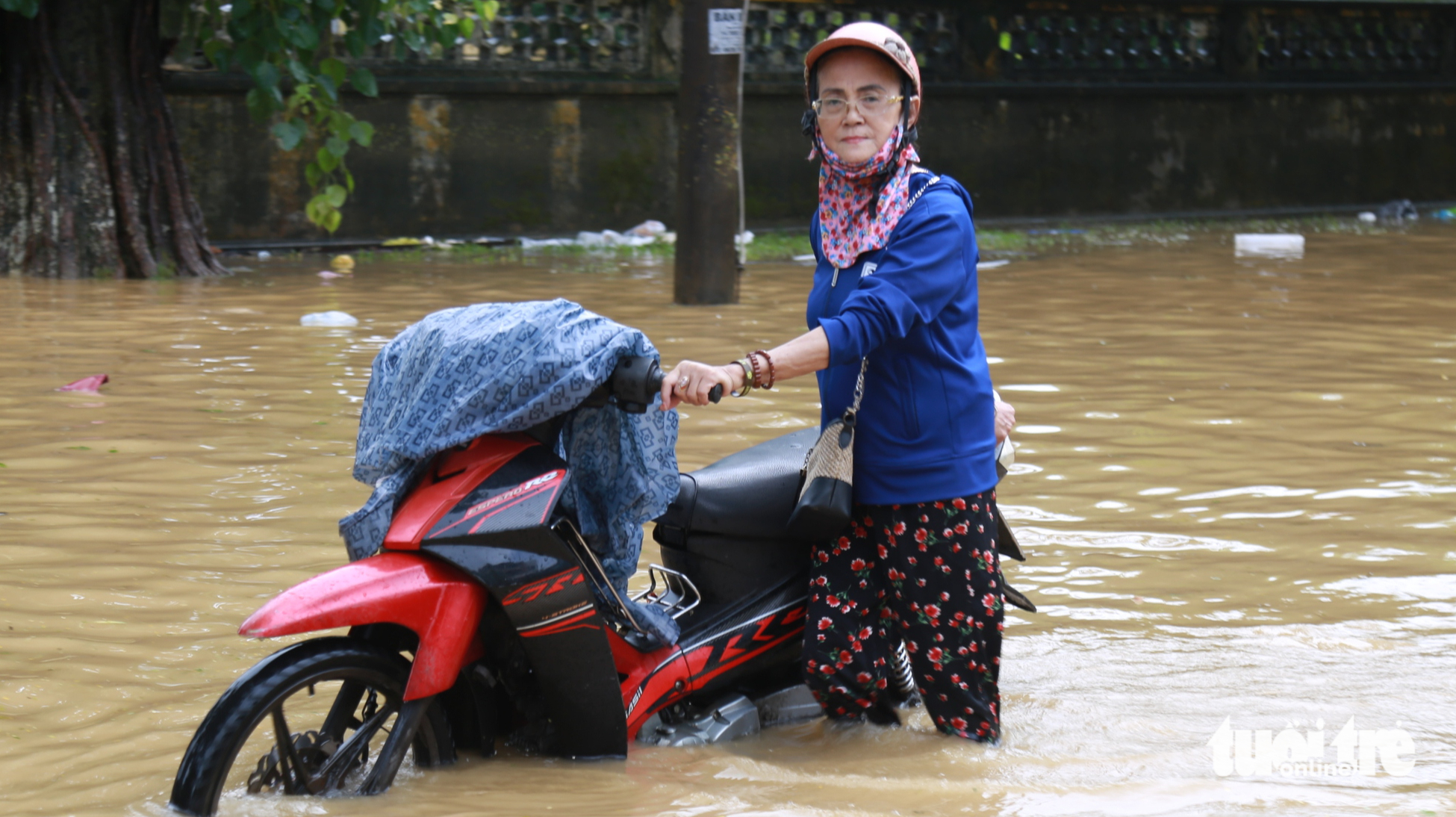 Liên tiếp ca rắn cắn nhập viện sau mưa lũ, đừng garo hay hút nọc - Ảnh 1.