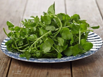 Loại rau tốt nhất thế giới được chấm 10 điểm, ở Việt Nam không chăm cũng lớn, nấu được đủ món ngon