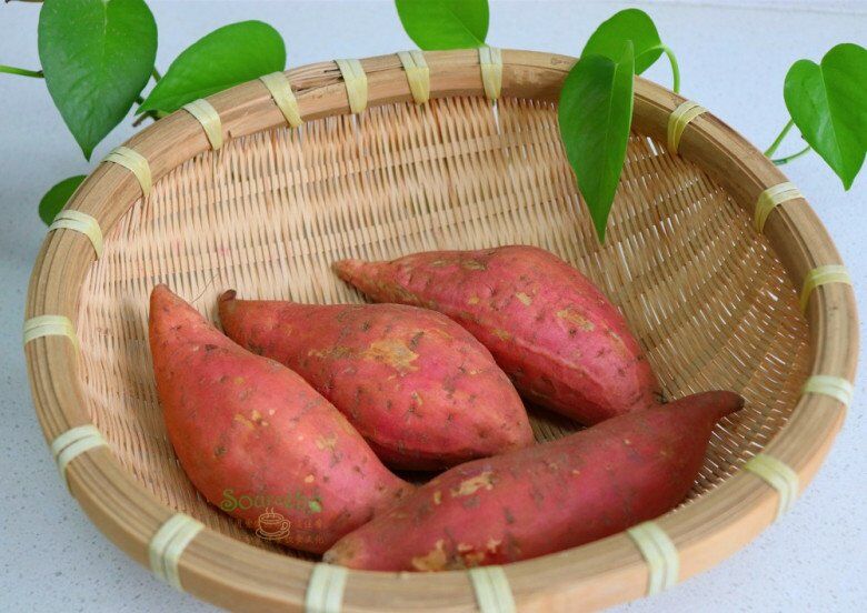 Loại củ trường thọ của người Nhật, chợ Việt bán đầy không biết mua ăn thì quá phí - 2