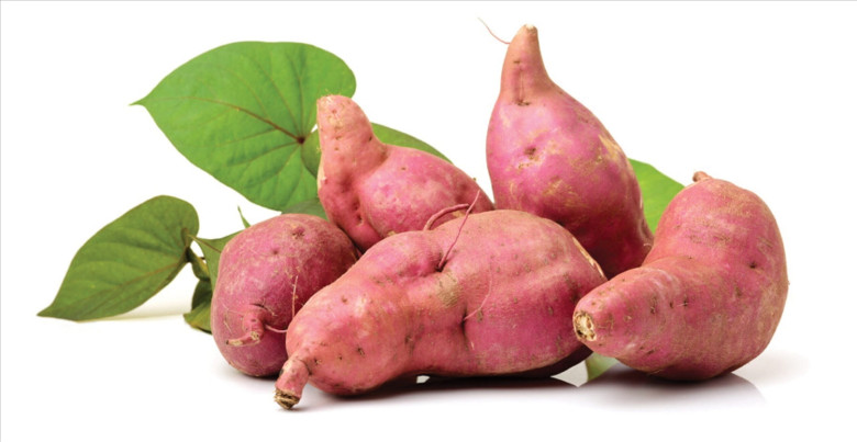 Loại củ trường thọ của người Nhật, chợ Việt bán đầy không biết mua ăn thì quá phí - 1