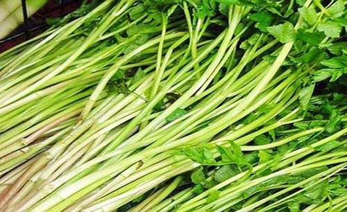 Loại rau thả lẩu hải sản khiến bổ dưỡng hơn, thơm ngon khó cưỡng, ngăn ngừa hấp thu chất béo - 2