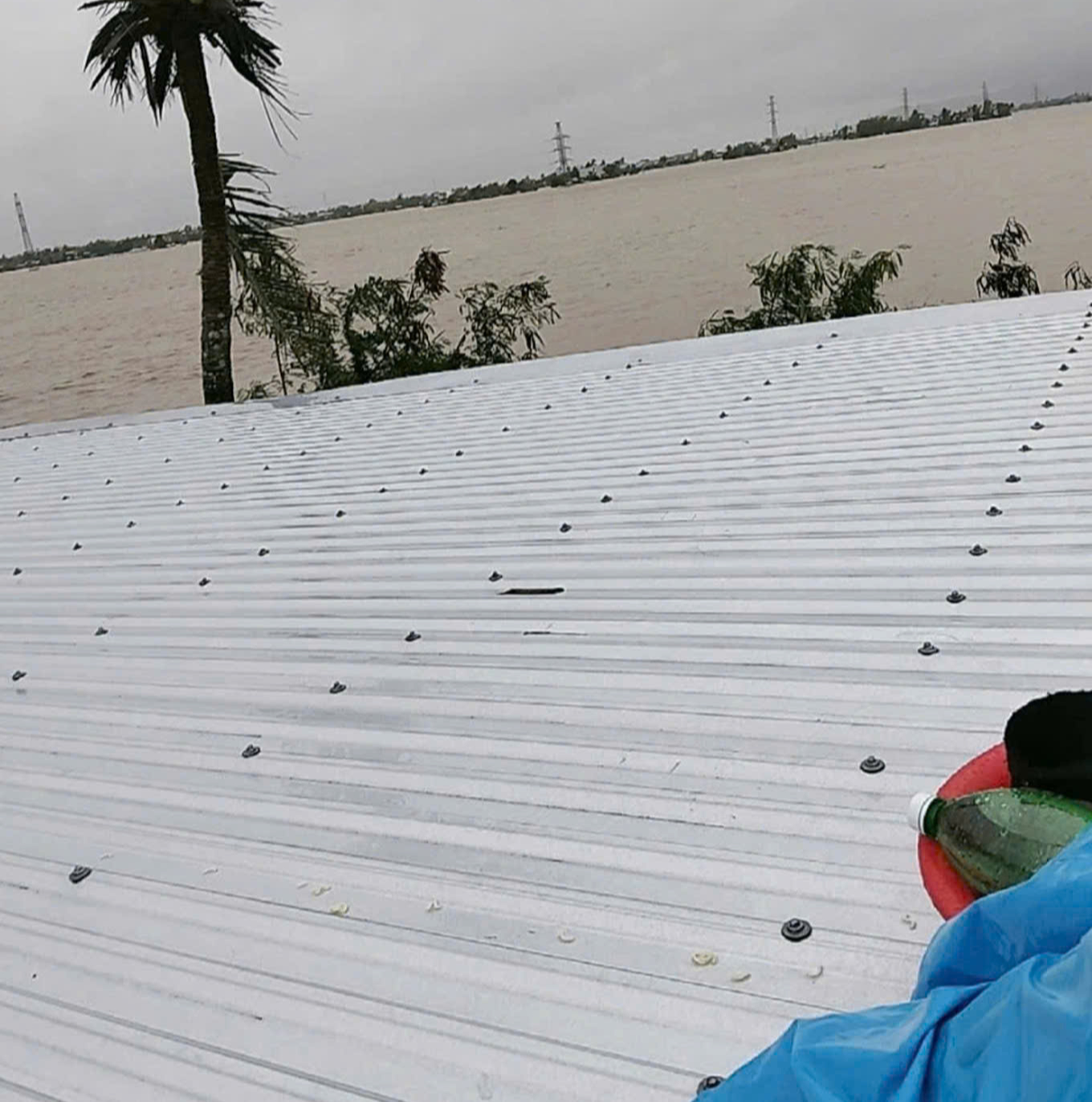 CLIP: Gặp lại người phụ nữ cùng 2 con nhỏ với lời kêu cứu ám ảnh trong lũ dữ - Ảnh 2.