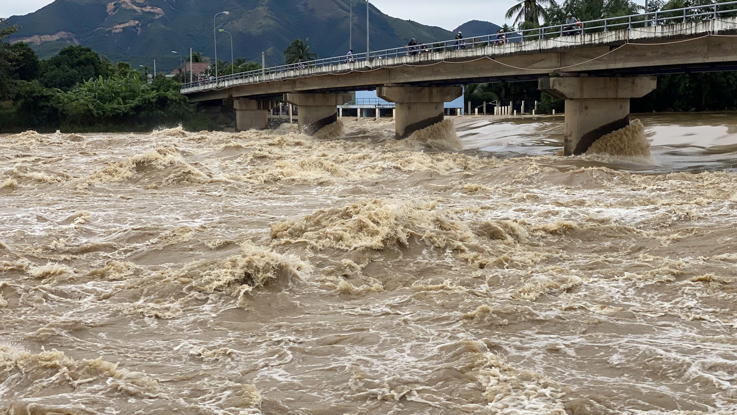 Lũ vượt báo động 3 trên hai sông Cái lớn nhất Khánh Hòa, cảnh báo ngập lụt - Ảnh 1.