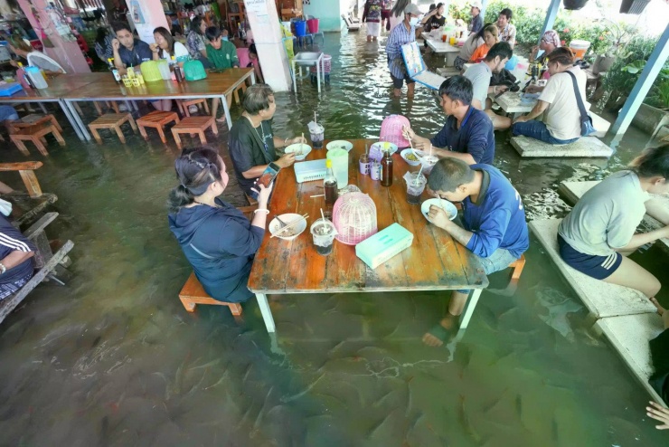 Thực khách tại nhà hàng Pa Jit thưởng thức bữa ăn trong khi cá bơi lội trong lối đi do lũ lụt từ sông Tha Chin (Thái Lan). Ảnh: AP.