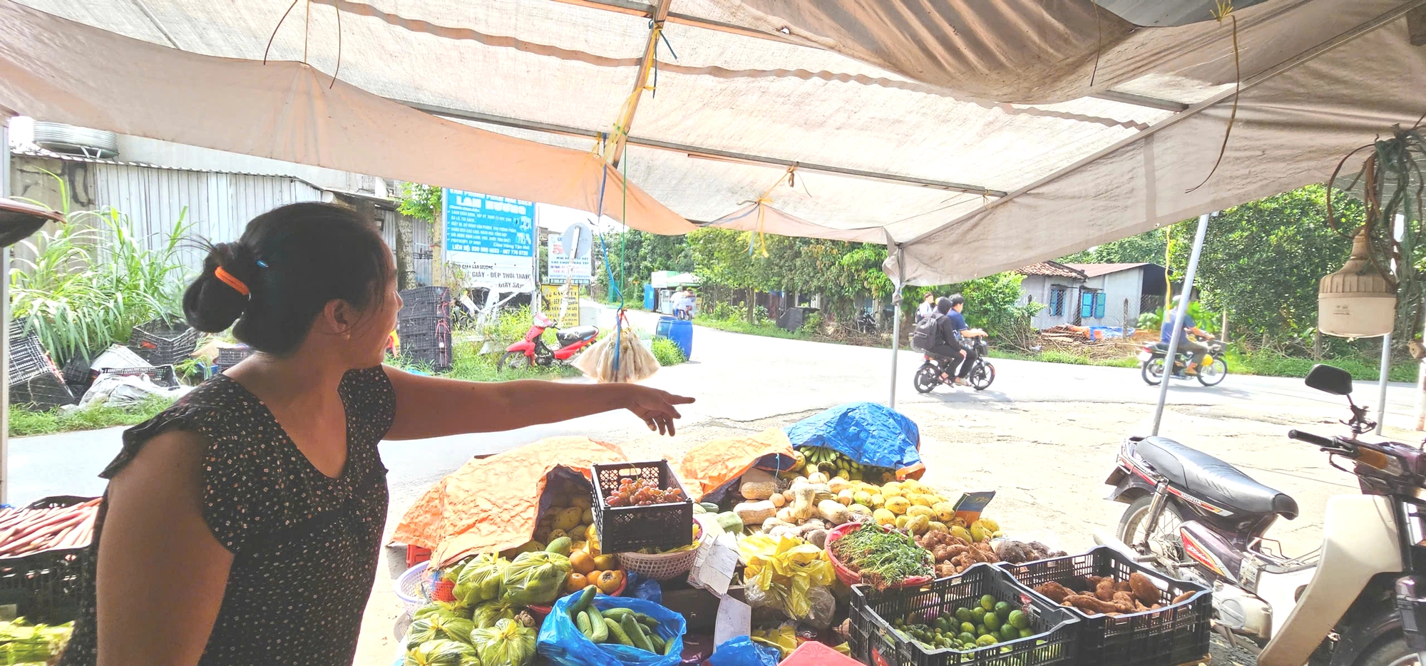 Trộm chó mèo hoành hành ở TP.HCM: Manh động, liều lĩnh giữa ban ngày- Ảnh 2.