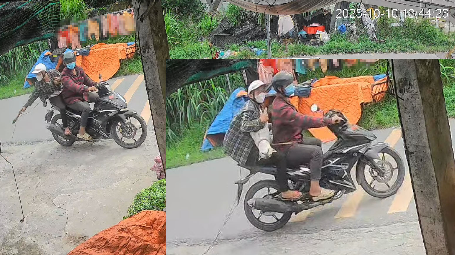 Trộm chó mèo hoành hành ở TP.HCM: Manh động, liều lĩnh giữa ban ngày- Ảnh 1.