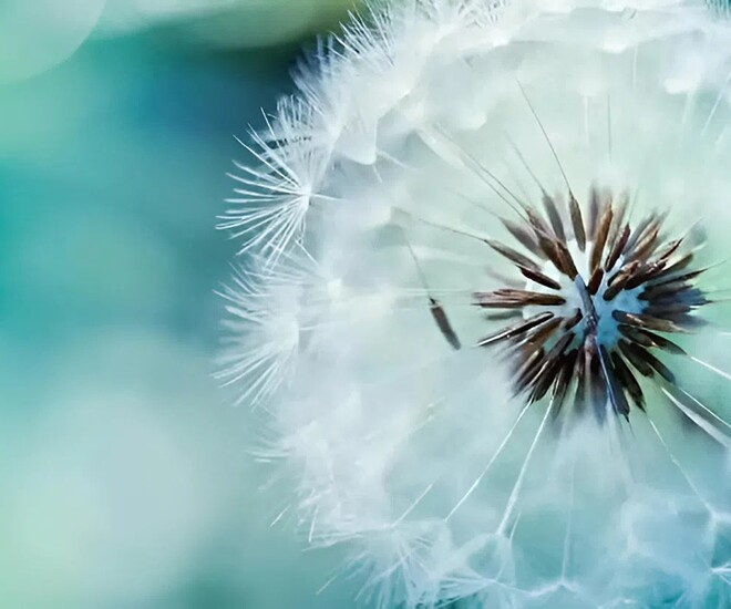 amp;#34;Mất điamp;#34; 3 điều này là điềm báo bạn chuẩn bị đón đại vận, hoàn toàn không mê tín - 1