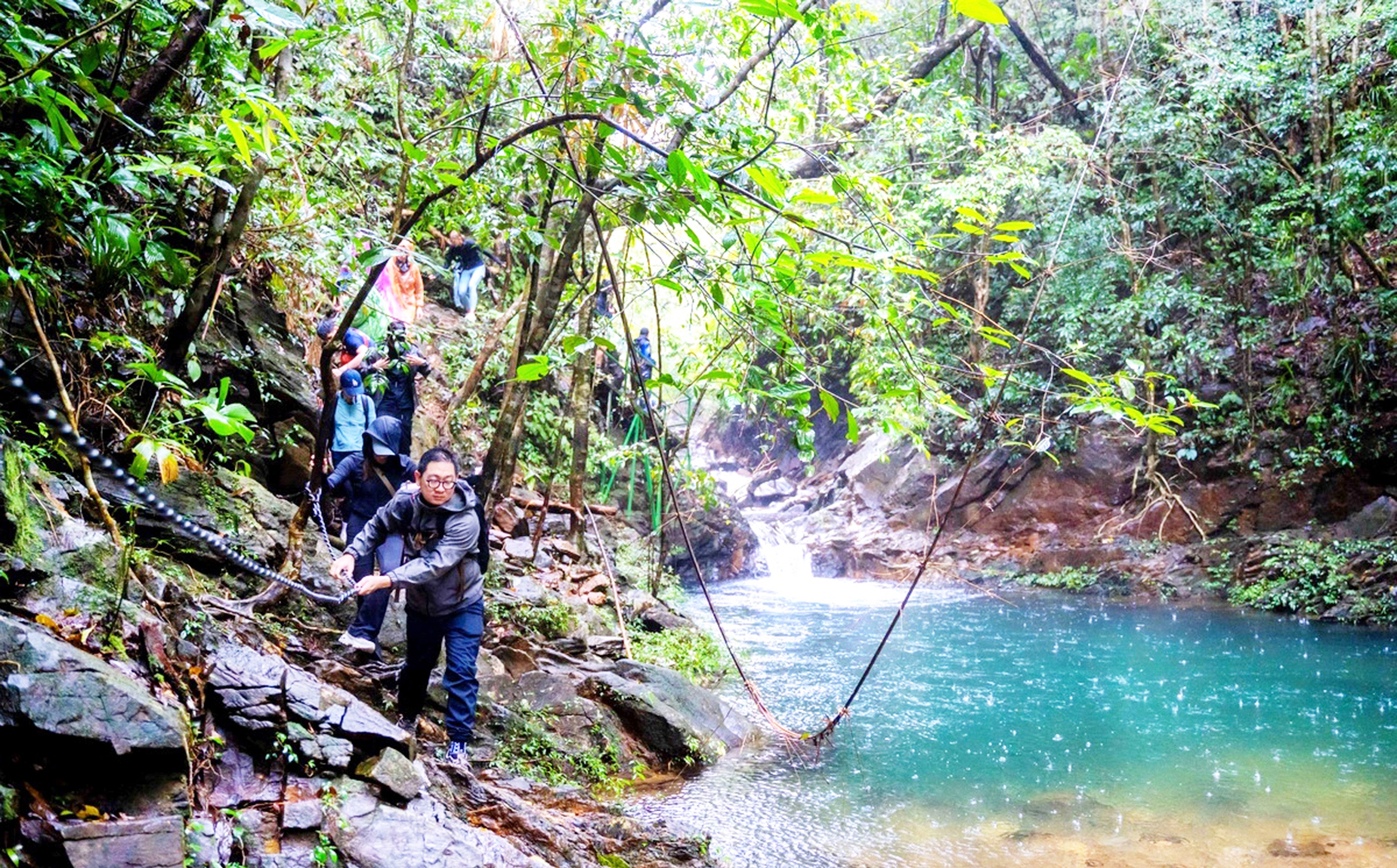 May mà Bạch Mã còn rừng! - Ảnh 1.