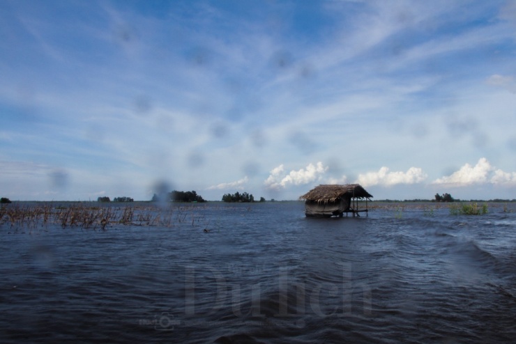 Mênh mang biển nước dệt bản tình ca giữa đất trời Mương Dú 1 Tháng 11 mưa dông tầm tã, cuốn thêm dòng nước từ sông Mê Kông rộn ràng chảy qua những kênh rạch đan xen, mang theo phù sa đỏ thắm đổ về vùng đồng bằng.