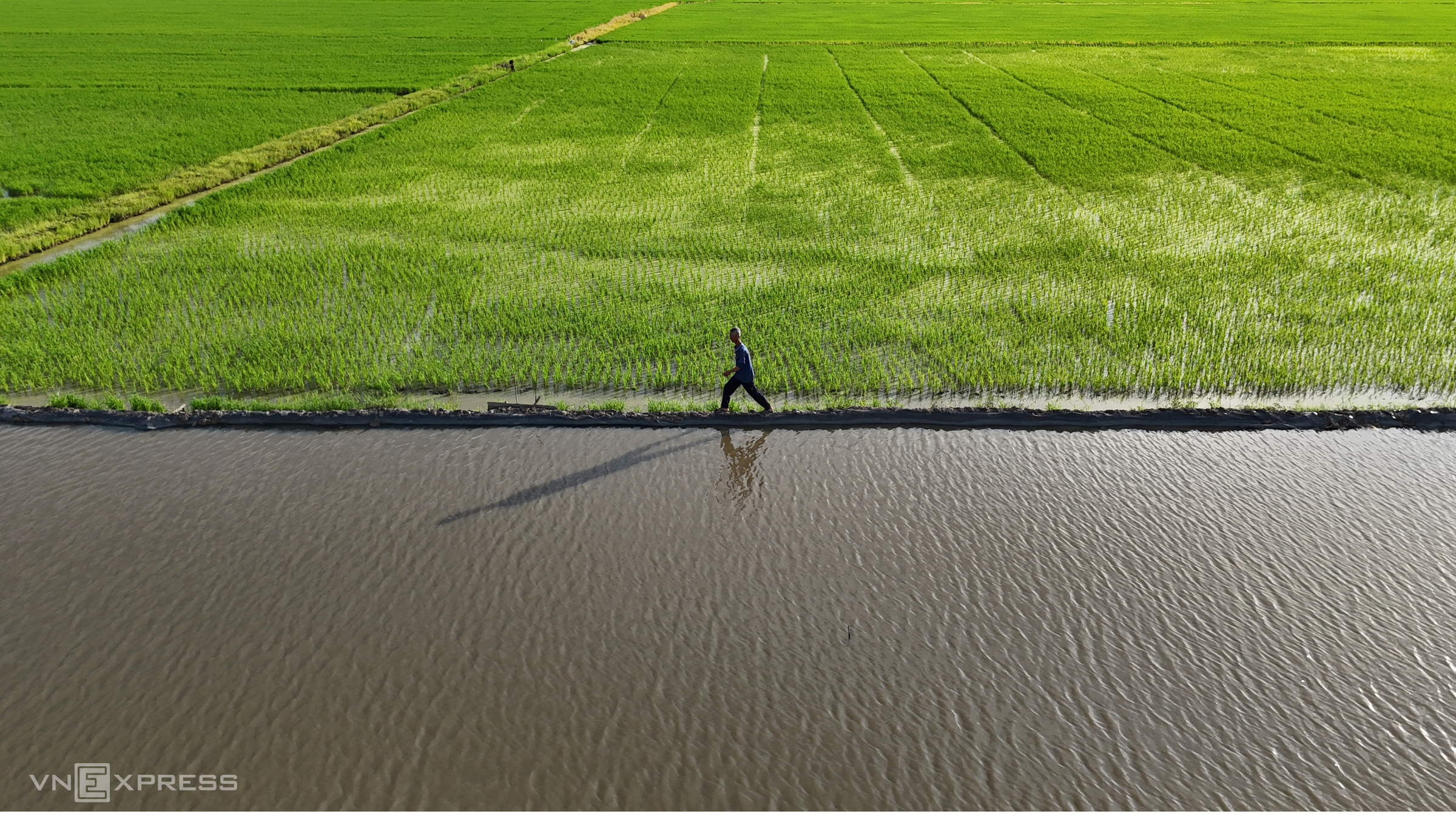 Mien Tay giua vong xoay lu ngheo