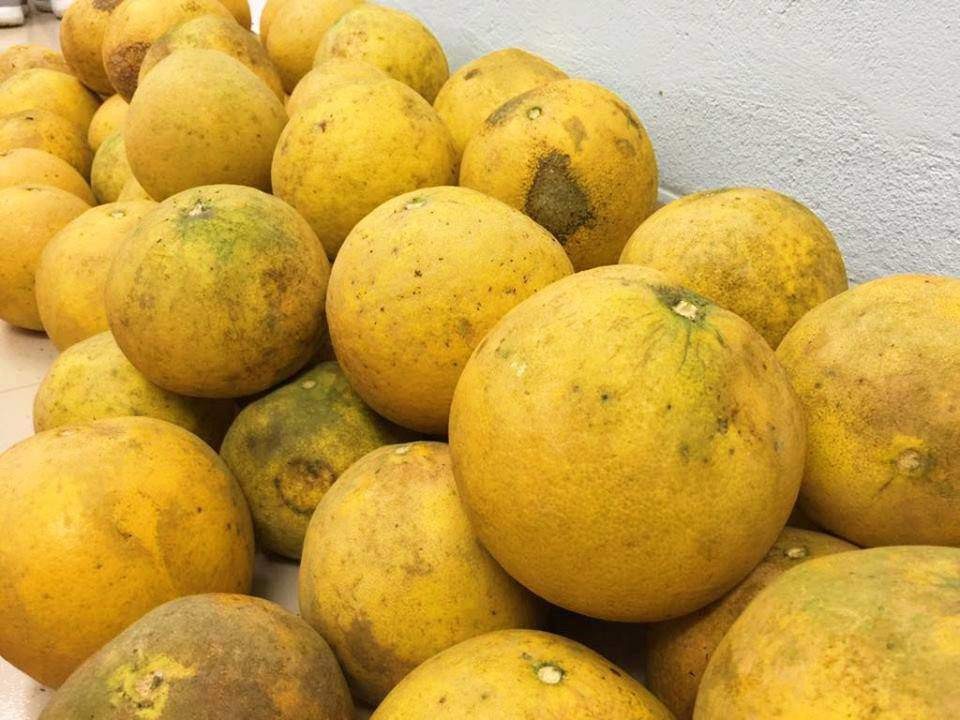 Mua bưởi, cứ học thuộc mẹo này là biết ngay bưởi ngon hay bưởi dở- Ảnh 1. Mua bưởi, cứ học thuộc mẹo này là biết ngay bưởi ngon hay bưởi dở- Ảnh 1.