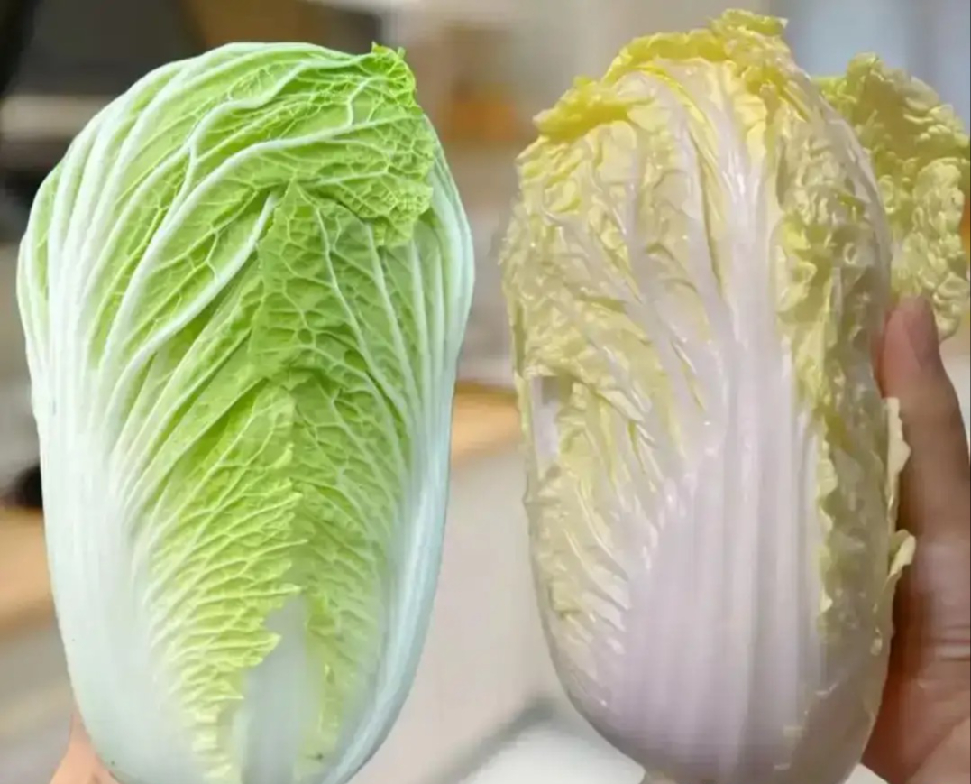 Mua cải thảo, nên chọn 