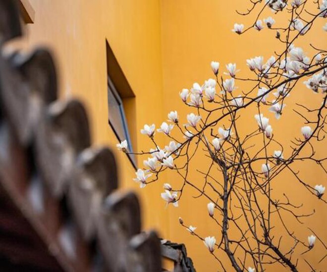 Muốn thay đổi vận mệnh, người khôn ngoan nắm bắt tốt 3 giai đoạn quan trọng này - 1