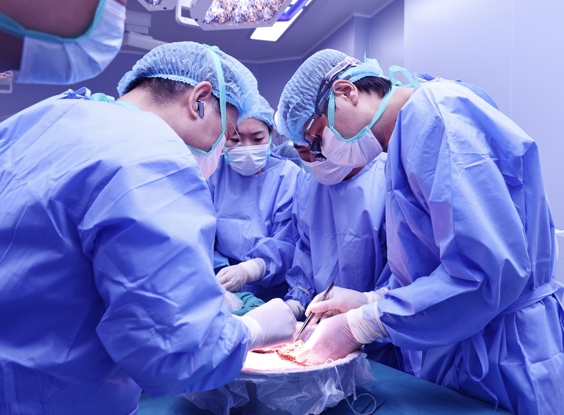 hiến tạng - Ảnh 2.