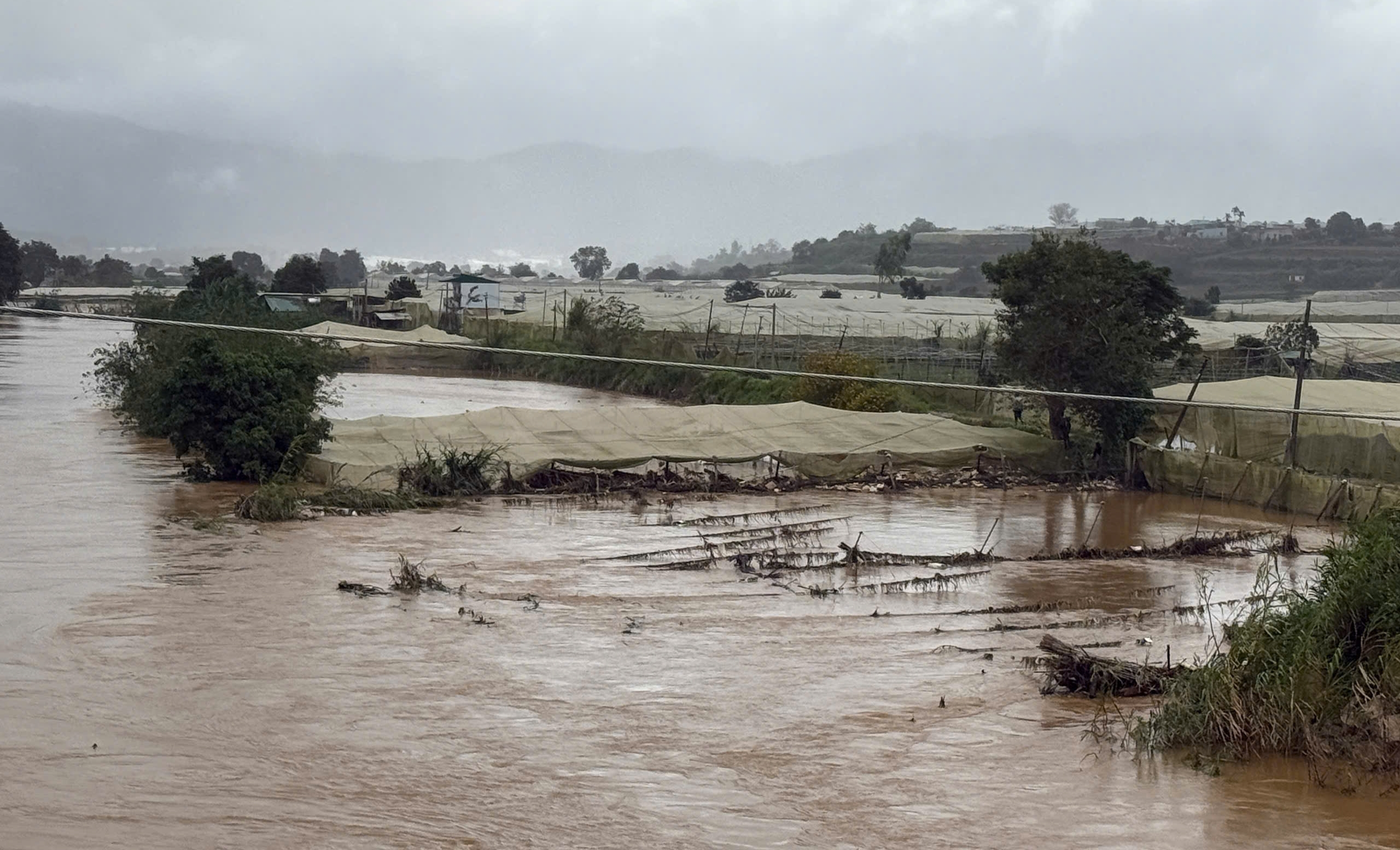 Ngập kéo dài, nông dân trồng rau ở Lâm Đồng chịu tổn thất nặng nề 1 Nông dân trồng rau ở Lâm Đồng thiệt hại nặng vì ngập - Ảnh 1.