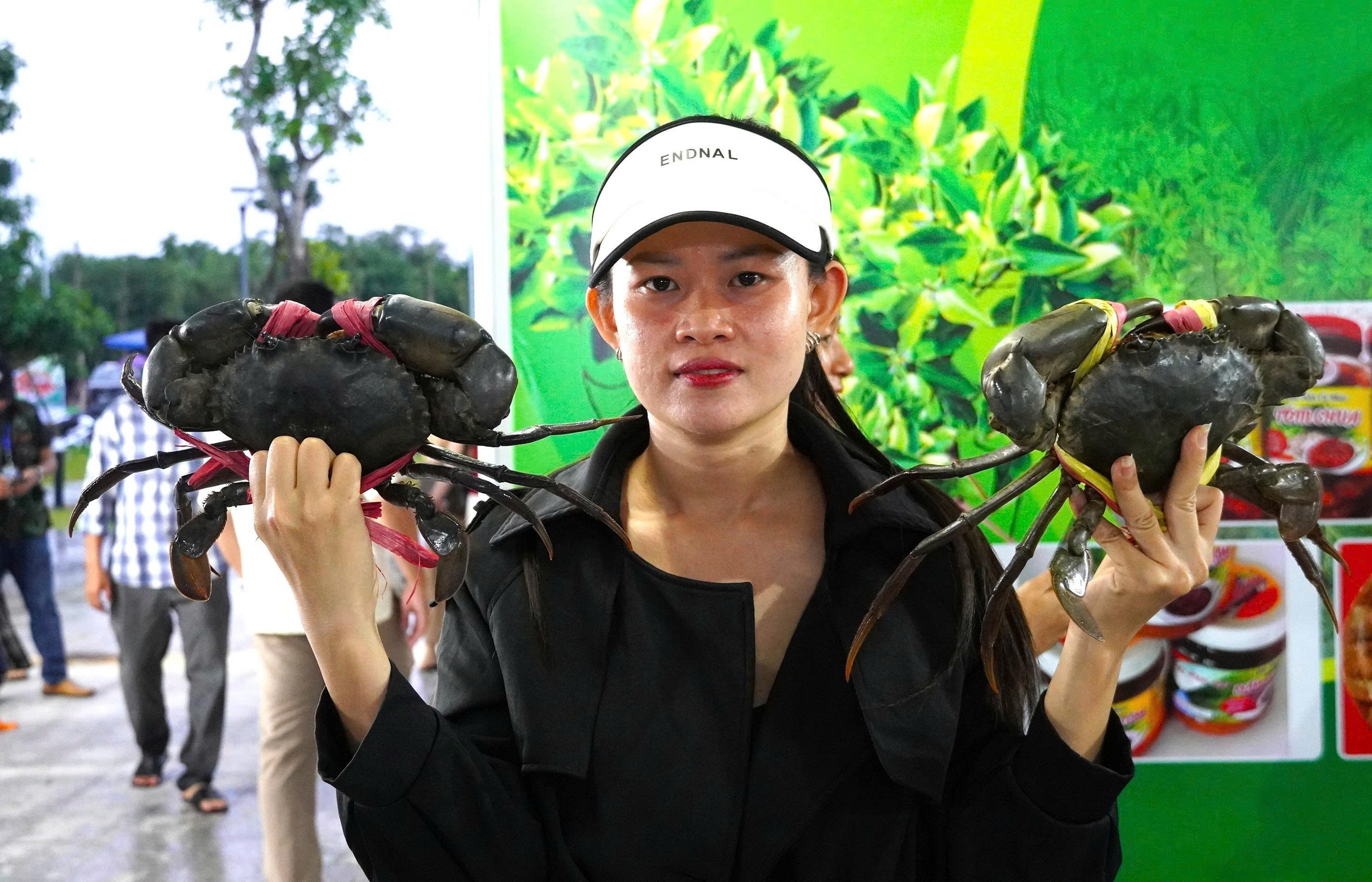 Ngày hội cua Cà Mau 2025: Đưa 'hương rừng - vị biển' thành thương hiệu quốc gia- Ảnh 5.