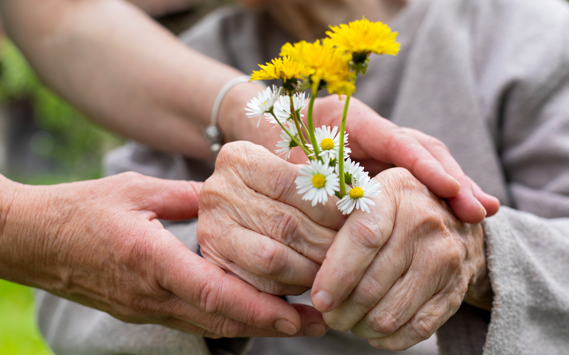 'Nghịch lý tuổi già' hướng dẫn cách giữ sức khỏe và cuộc sống năng động cho người già - Ảnh 2.