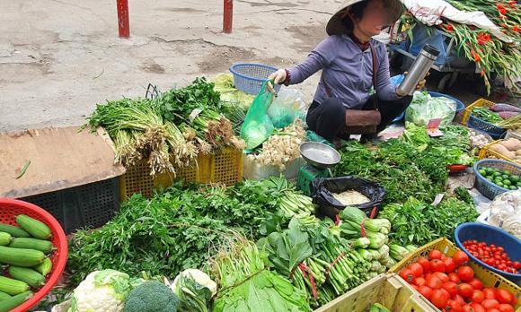 rau tăng 1 giá rau, rau tăng giá, kiến thức