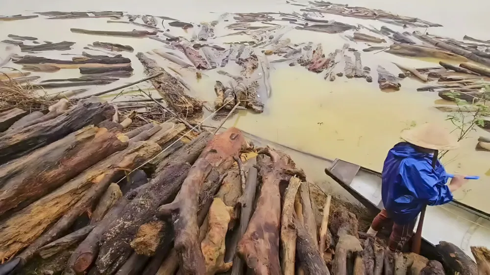 muu-sinh-ben-mieng-ha-ba-nguoi-dan-cheo-ghe-vot-cui-giua-ho-thuy-dien (2).jpg