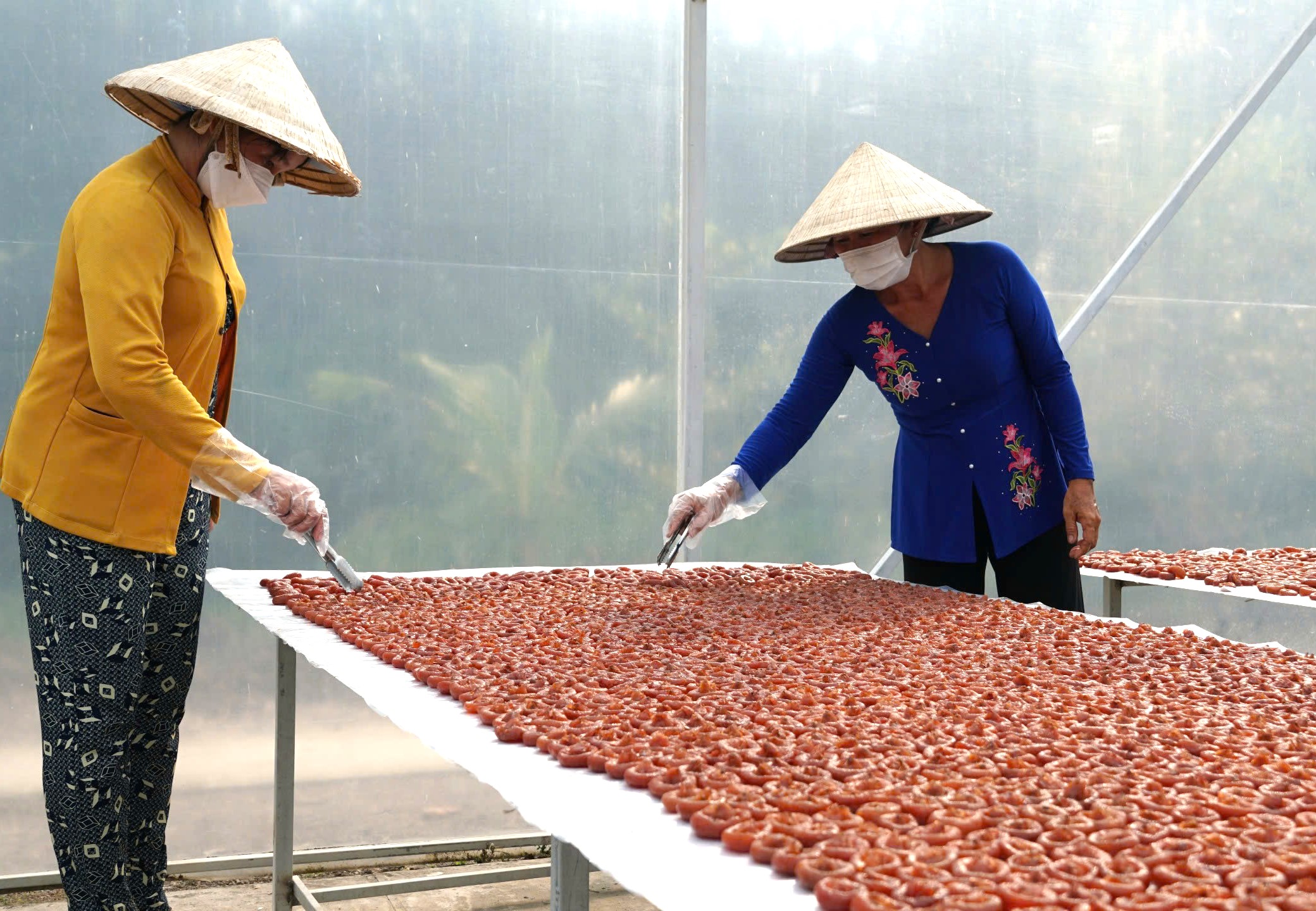 Người phụ nữ đưa mận trắng thành món mứt ‘trứ danh’  miền Tây - Ảnh 1.