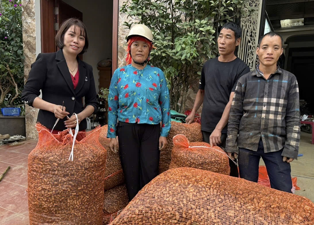 Lù Thị Tuyên: Người phụ nữ giúp dân làm giàu trên cao nguyên đá Hà Giang - Ảnh 2.