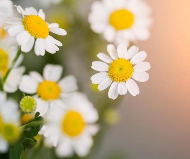 Người thực sự muốn làm giàu, có 4 điều càng thực hiện sớm càng tốt - 1