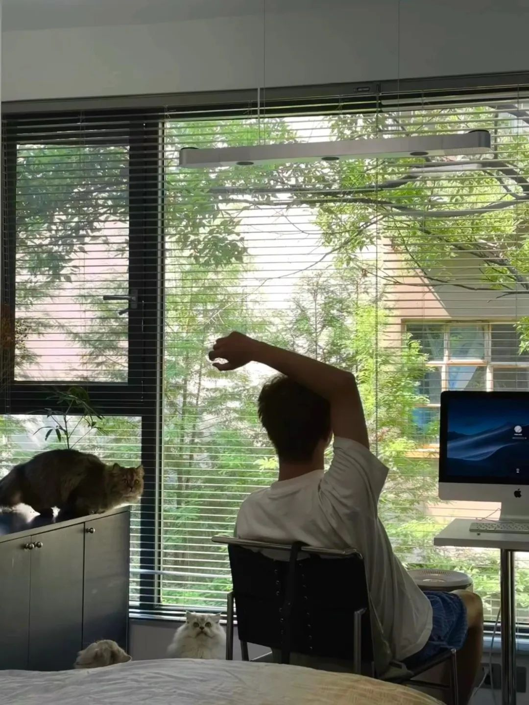 Khi “cũ” thành xu hướng: Người trẻ đang tìm kiếm điều gì trong những khu dân cư xập xệ giữa lòng thành phố?- Ảnh 2.