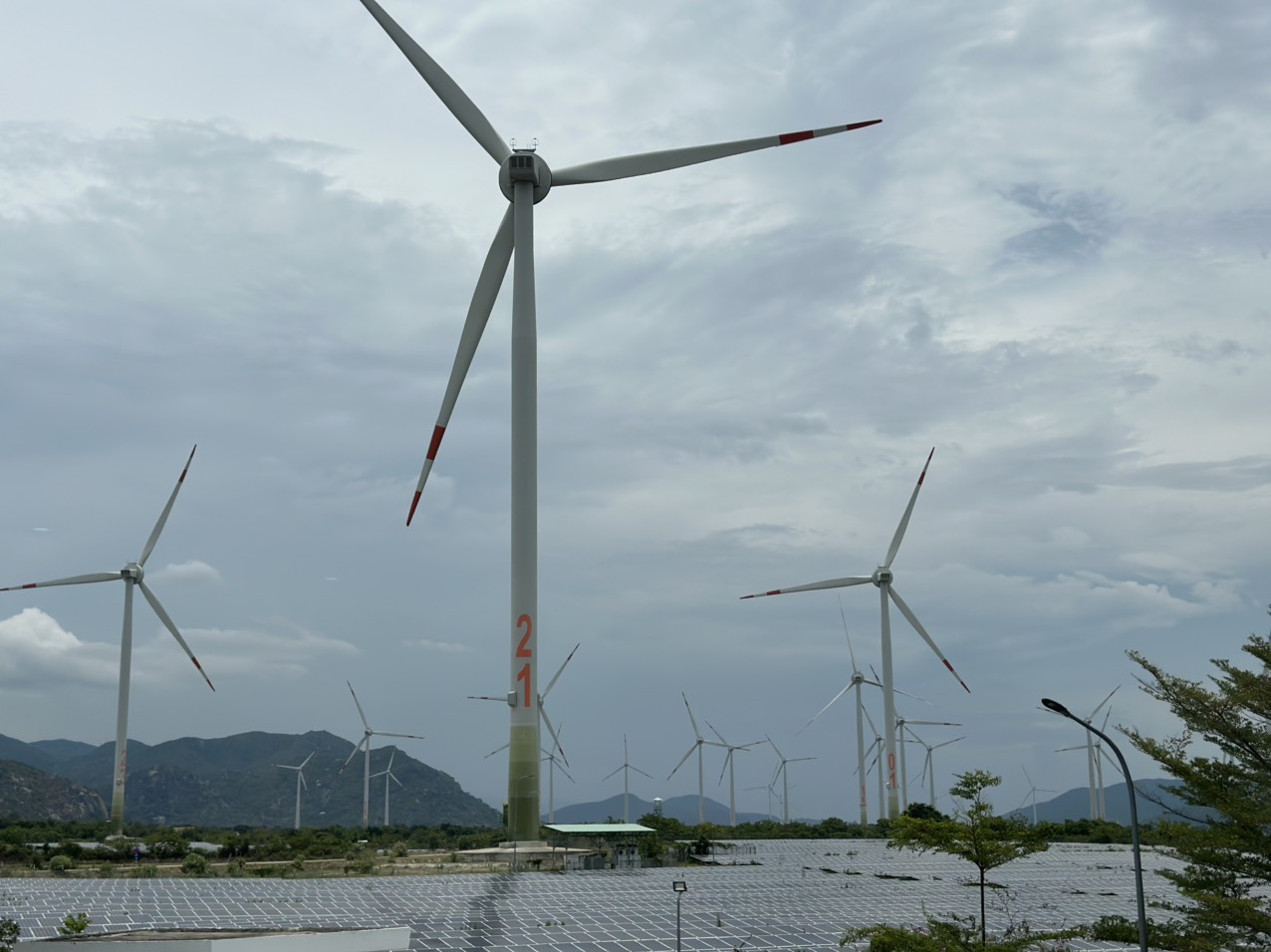Loạt nhà đầu tư điện gió Quảng Trị kiến nghị hạn chế cắt giảm công suất- Ảnh 1.