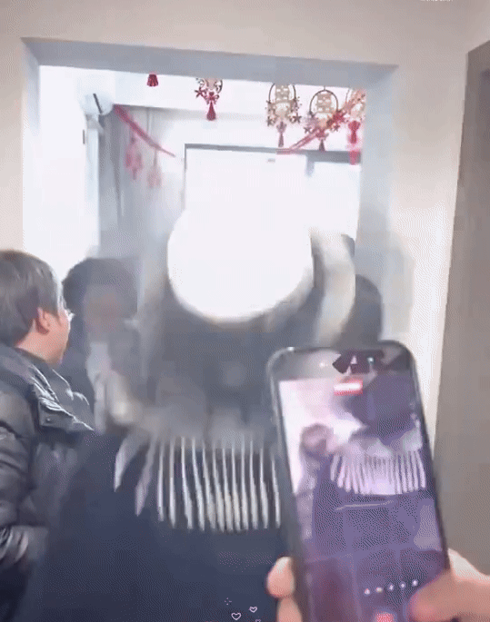 Tràn lan clip nữ thần đẹp bậc nhất showbiz không mời mà tới 1 hôn lễ, làm đủ trò lố lăng phá nát đám cưới- Ảnh 1.