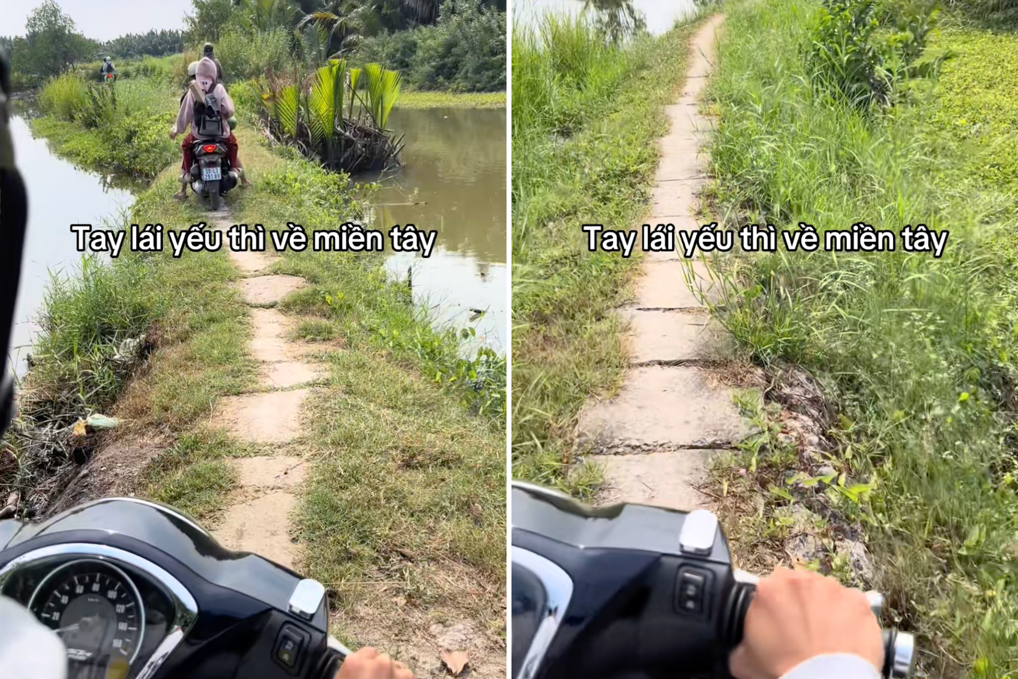 Nhìn cảnh này mới biết tại sao phụ nữ miền Tây 10 người hết 7 người không biết chạy xe máy- Ảnh 2. Nhìn cảnh này mới biết tại sao phụ nữ miền Tây 10 người hết 7 người không biết chạy xe máy- Ảnh 2.