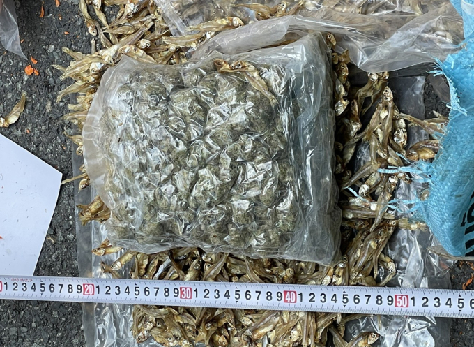 Số lượng cần sa bị thu giữ. Ảnh: Công an cung cấp