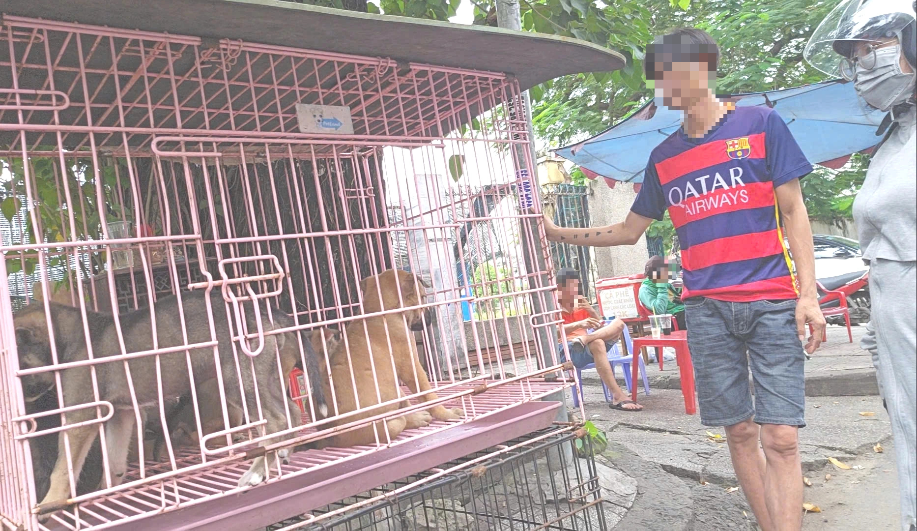 Nhức nhối trộm chó, mèo ở TP.HCM - Kỳ 2: Dùng AI tạo chó giả để lừa tiền chuộc- Ảnh 1.