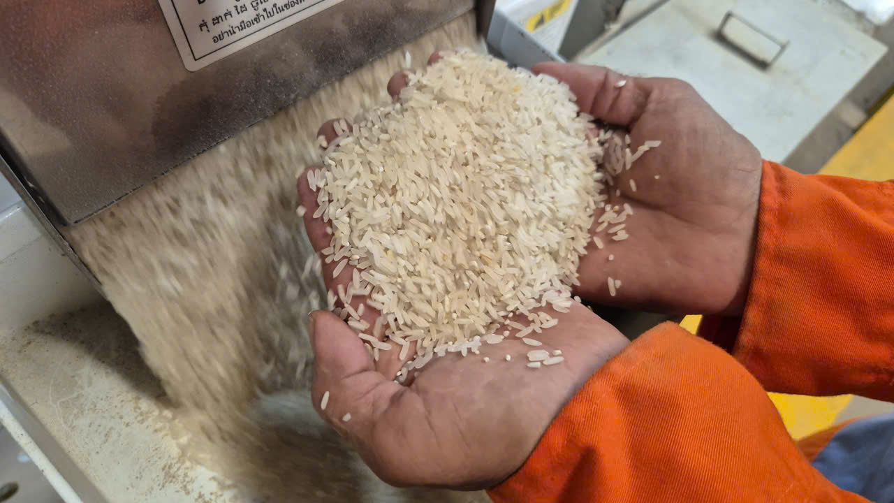 Gạo tẻ trắng và cơ hội xuất khẩu vào thị trường Singapore - Ảnh 1.