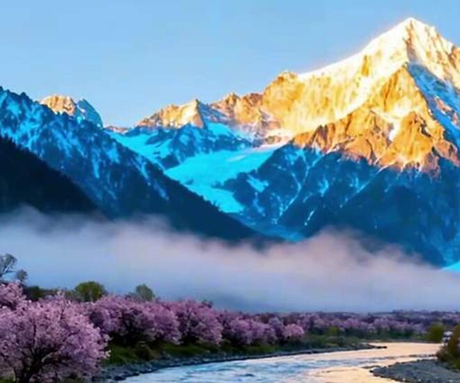 Những người im lặng thường thực sự khôn ngoan - 1