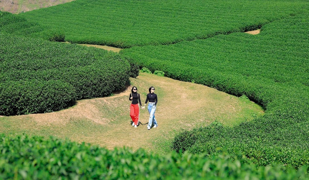 Nông nghiệp xanh ở Sơn La tạo nên thương hiệu du lịch nông thôn Tây Bắc - 1