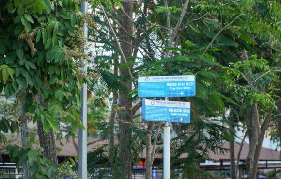 Ngôi trường độc lạ ở miền tây, Trường Đại học Y Dược Cần Thơ