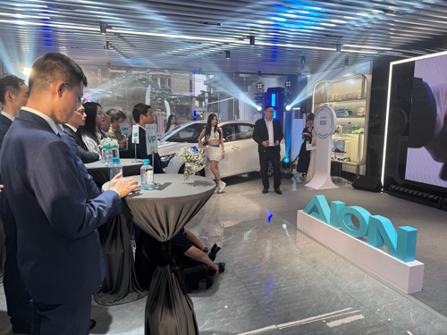 Ô tô điện Trung Quốc vẫn kém sức hút - Ảnh 1.