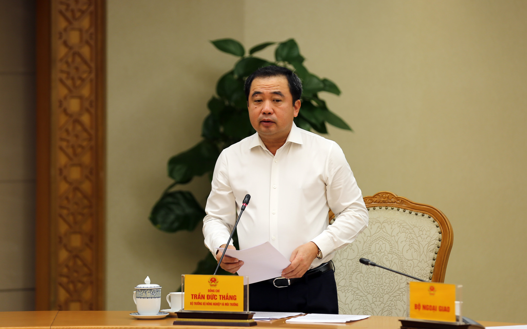 bão số 13 - Ảnh 1.